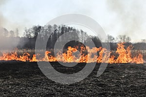 Spring fires of dry grass.