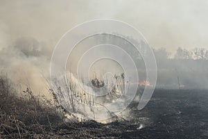 Spring fires of dry grass.