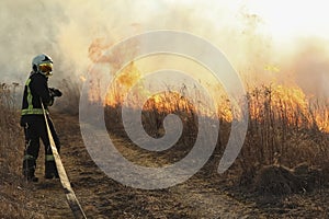 Spring fires of dry grass.