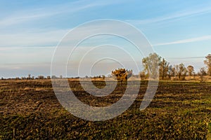 Spring fires in the fields
