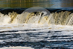 In the spring, fish fly or jump in Europe`s widest waterfall