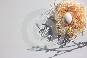 Spring flat lay composition with white easter egg in nest and pussy-willow catkins on white background. Top view, copy space
