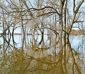 Spring flood