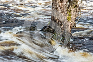 Spring flood