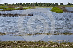 Spring flood on the Akhtuba River