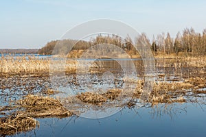 Spring flood blue lake. Trees still without leaves grow in a meadow flooded with water. Beautiful landscape with blue sky and