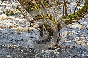 Spring flood photo