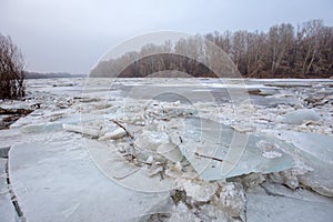 Spring flood, ice floes on the river