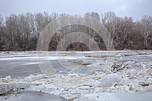 Spring flood, ice floes on the river