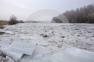 Spring flood, ice floes on the river photo