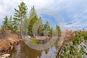 Spring flood on the river