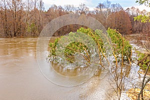 Spring flood on the river.