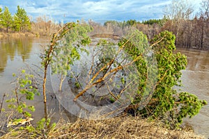 Spring flood on the river.