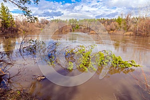 Spring flood on the river.