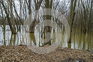 Spring flood on the Riviere des milles Island with a cloudy sky photo