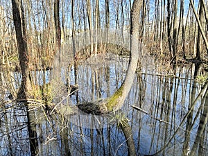 The spring flood in the Solnechnaya Park in April. Moscow region, Balashikha city