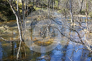 Spring flood