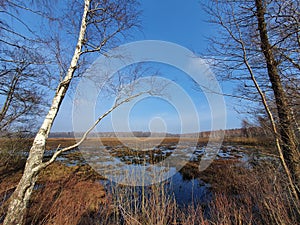 In the spring of flooded meadows in Lithuania in the distance winches