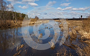 Spring flooding on the river