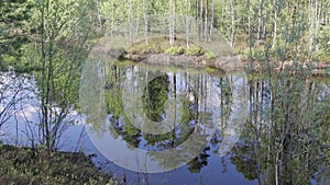 Spring floods on the Siberian river.Reflection of trees in water