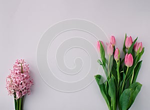 Spring floral arragement with pink tulips and pink hyacinth on bright background. Minimal concept. Copy space
