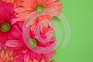 Spring floral background of pink and green
