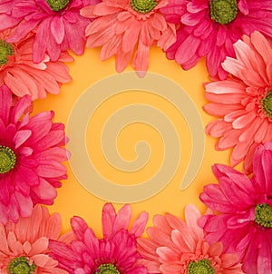 Spring Floral Background of pink and yellow