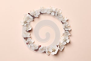 Spring floral background, texture and wallpaper. Flat-lay of white almond blossom flowers over light pink background