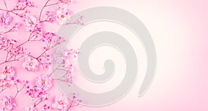 Spring floral composition made of fresh pink flowers on light pastel background