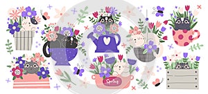 Spring floral compositions with cats and blossoming flowers in pots set vector illustration