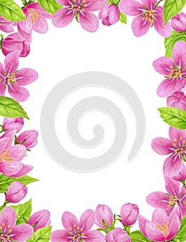 Spring floral frame with apple pink flowers, buds, green leaves. Watercolor clipart for greeting card or invitation