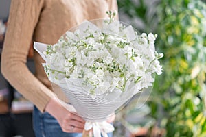 Spring floral. Fresh A bouquet of white Mattioli close up. Womens or Mothers Day Theme. Fresh cut flower. photo