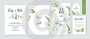 Spring floral minimalist wedding invite, save the date, rsvp, table number card design. Watercolor style white lilac flower, rose