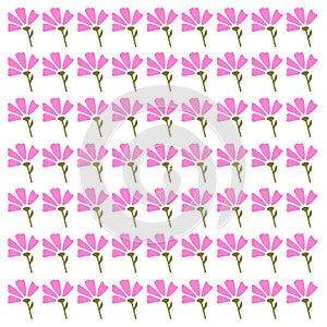 Spring Floral Pattern Background Texture