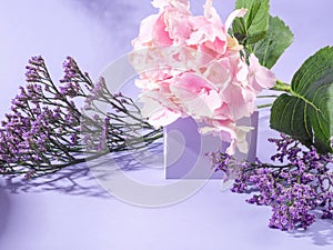 Spring floral podium scene on purple background with pink hydrangea