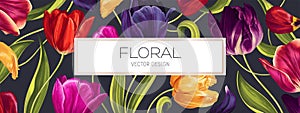 Spring floral vector background design for sale banner, poster with tulips flowers, petals and leaves. Realistic style, hand drawn