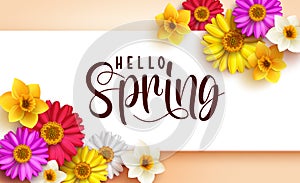 Spring floral vector template design. Hello spring greeting text in white banner space with colorful chamomile and daffodil flower