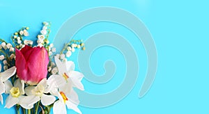 Spring flower arrangement on a blue background - pink tulips and white daffodils and lilies of the valley.