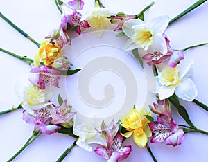 Spring flower arrangement. Pink astromeria and yellow daffodils on a white background. photo