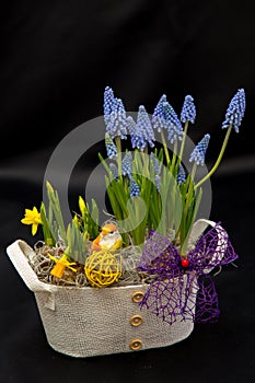 Spring flower arrangements