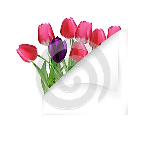 Spring flower background with cloven paper photo