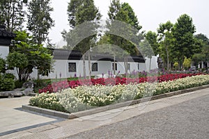 Spring flower bed in city Nanning flower park