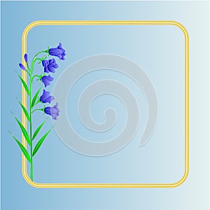 Spring flower Bluebell campanula background vector
