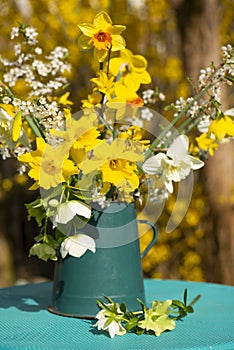 Spring flower bouquet with daffodils in a pot