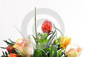 Spring flower bouquet on white background. Colorful vintage flower decoration. Tulips and roses in floreal bouquet