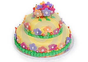 Spring Flower Cake on White