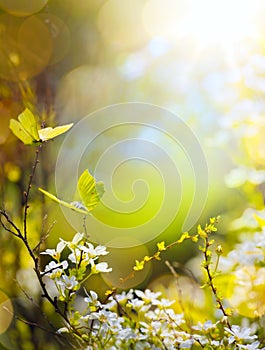 Spring flower and fly butterfly; abstract sunny beautiful Easter