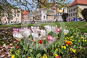 Spring flower garden on hill Wawel at Cracow