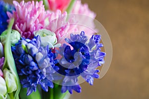 Spring flower hyacinth in bouquet macro soft