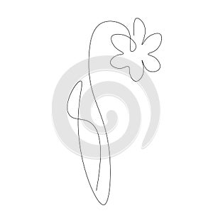 Spring flower isolated on white. Continuous line drawing. Vector